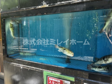 とらふぐ亭　蒲田店の画像5