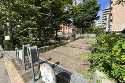 綾西公園の画像2