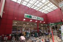 シャンティかんだ