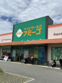アミーゴ
