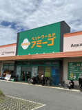 アミーゴ