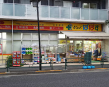 どらっぐぱぱす 江古田店