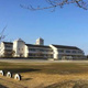 取手市立桜が丘小学校の画像
