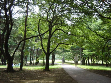 和光樹林公園の画像1