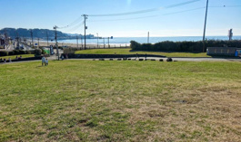 鎌倉海浜公園