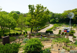 引地川公園ふれあいの森