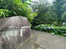 玉川上水永泉寺緑地