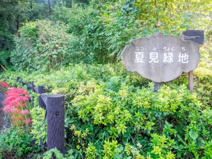 夏見緑地