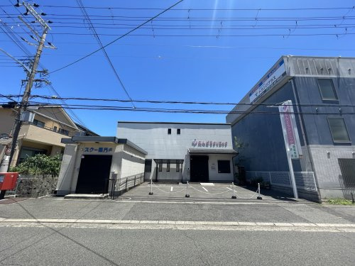 の画像