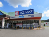 ウエルシア洲本下加茂店