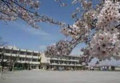 鴻巣市立常光小学校の画像1