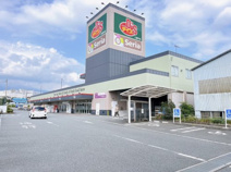 よどばしD'S 三園平店
