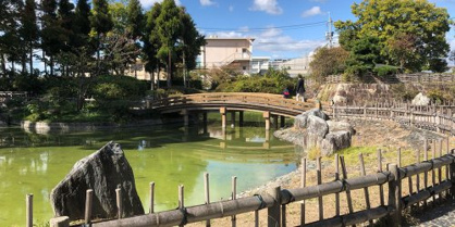城跡公園の画像1