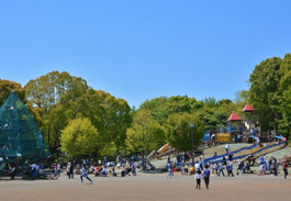 平塚市総合公園