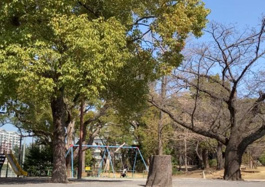 八幡山公園
