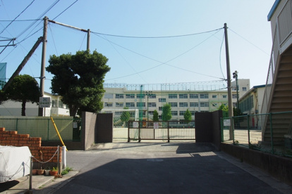 新井小学校の画像1