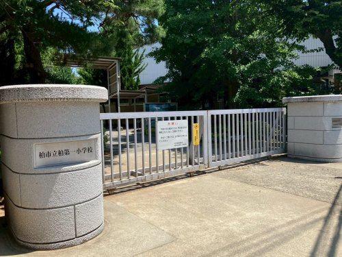 の画像