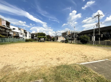 向島中島(向島南さんさん)公園の画像1