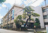 田所病院