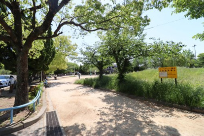 今福公園の画像1