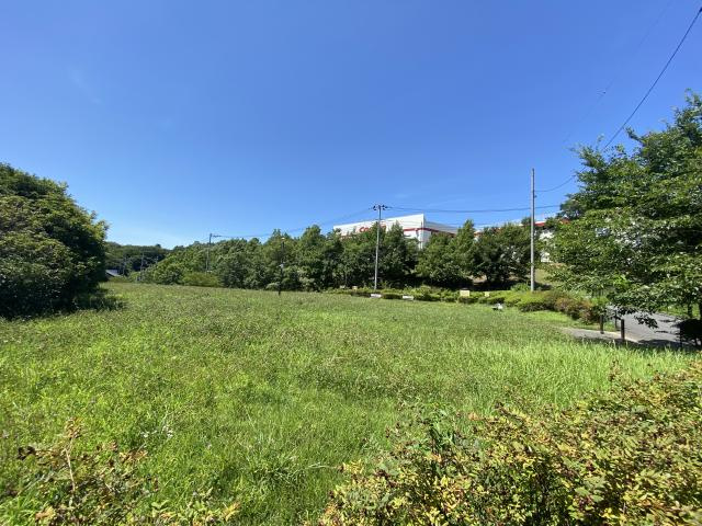 小山ヶ丘第６緑地
