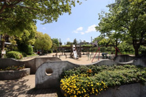 梅の木公園