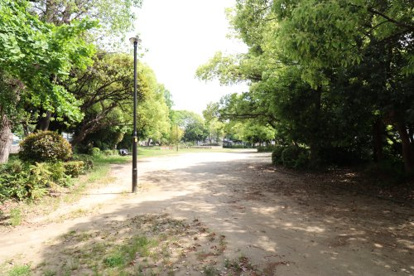 大物川緑地の画像1