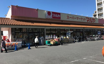 マルヤ 南流山店の画像1