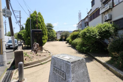 浜田川公園1の画像1