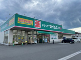 ドラッグセイムス河辺店
