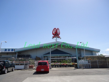 コメリハード&グリーン 宮城村店の画像1