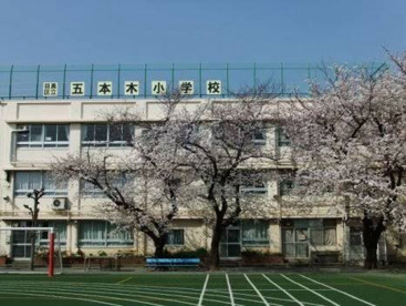 五本木小学校の画像1