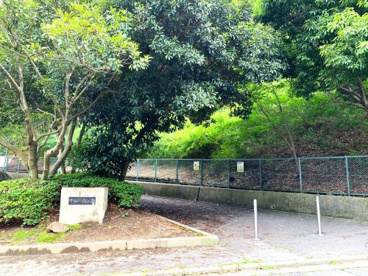 中山中央公園の画像2
