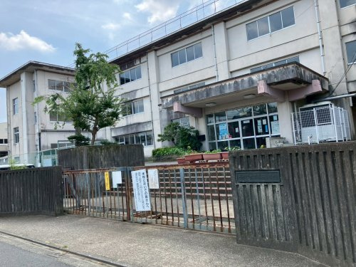 の画像