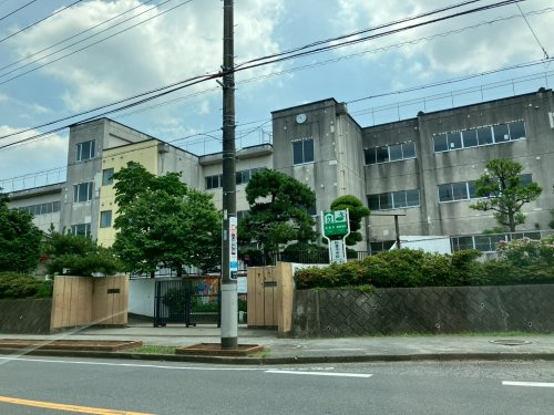 の画像