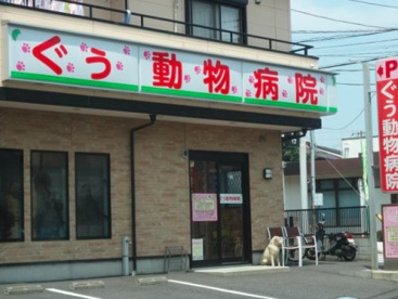 ぐぅ動物病院の画像1