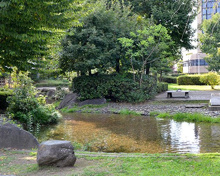 せせらぎの里の池