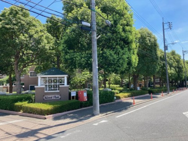 初石18号公園の画像2