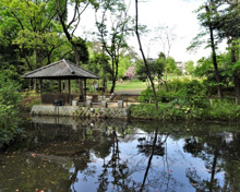 おとめ山公園 下の池
