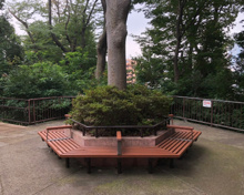 おとめ山公園 見晴台