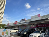 ザ・ダイソー DAISO マックスバリュ徳川明倫店