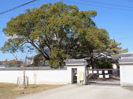 奈良市立鼓阪小学校の画像1