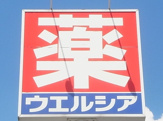 ウエルシア伊勢崎市場店