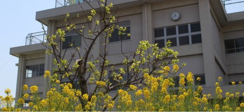富士市立天間小学校の画像