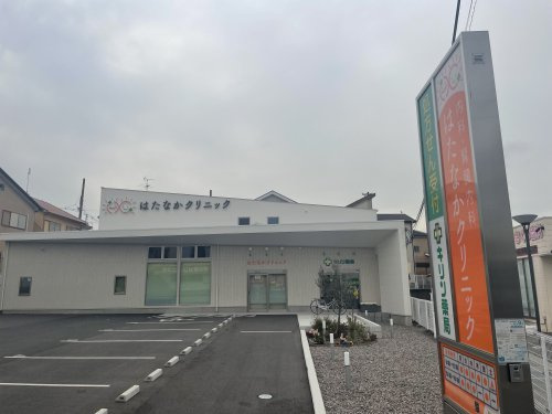 の画像