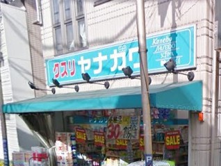 ドラッグストア ヤナガワ薬局