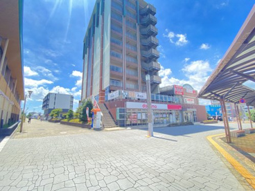 つくばエクスプレス、みらい平駅の画像3