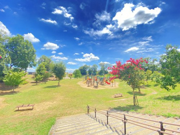 みらいの森公園の画像1