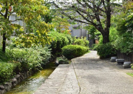 岩戸川緑地公園