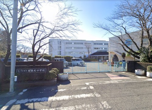 の画像